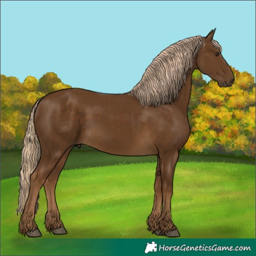 Horse Color:Chocolate Palomino 