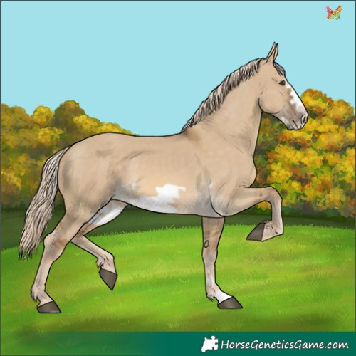 Horse Color:Chocolate Palomino Dun Frame 