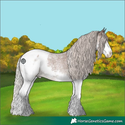 Horse Color:Silver Blue Roan Splash Snowcap 