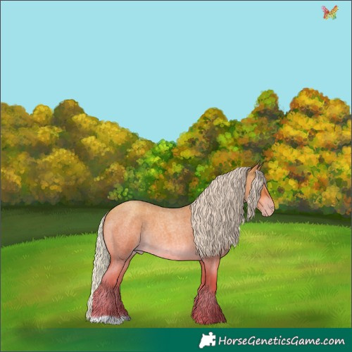 Horse Color:Silver Sable Champagne Roan 