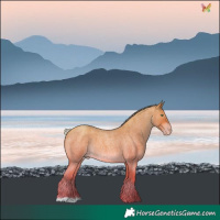 Horse Color:Silver Sable Champagne Roan
