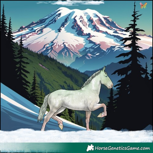 Horse Color:White Spotted Cremello Roan 
