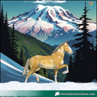 Horse Color:White Spotted Gold Cream Champagne Splash 