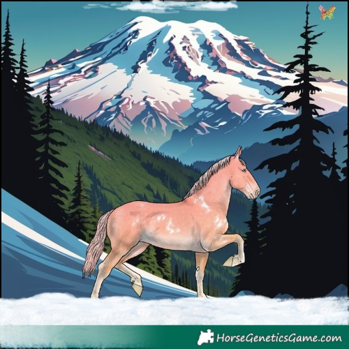 Horse Color:White Spotted Cremello Dun 