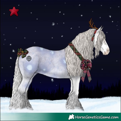 Horse Color:Silver Blue Roan Splash Appaloosa 