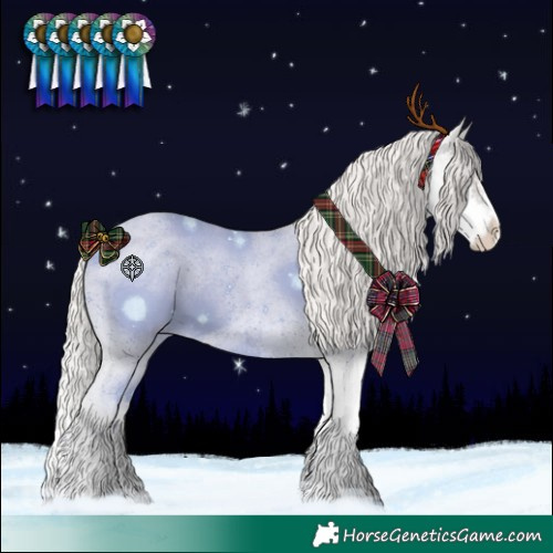 Horse Color:Silver Blue Roan Splash Appaloosa 