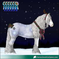 Horse Color:Silver Blue Roan Splash Varnish