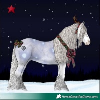 Horse Color:Silver Blue Roan Splash Appaloosa