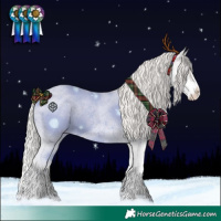 Horse Color:Silver Blue Roan Splash Appaloosa 