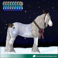 Horse Color:Silver Blue Roan Splash Varnish
