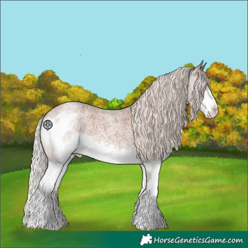 Horse Color:Silver Blue Roan Splash Appaloosa