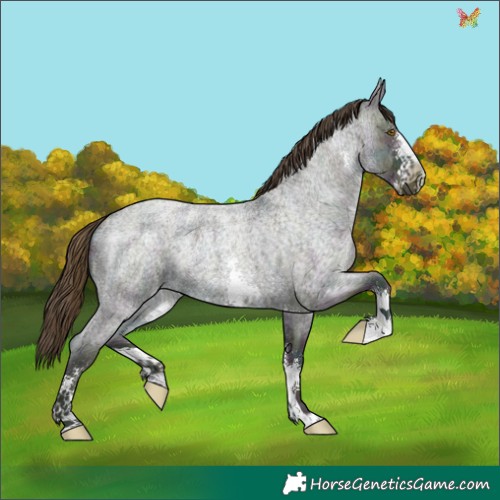 Horse Color:Midnight Classic Cream Champagne Ice Roan Sabino 