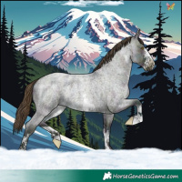 Horse Color:Midnight Classic Cream Champagne Ice Roan Sabino