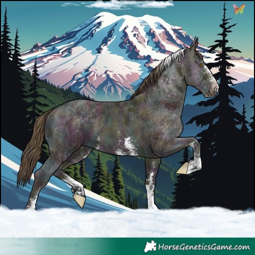Horse Color:Midnight Classic Cream Champagne Ice Sabino Tobiano 