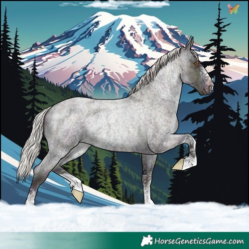 Horse Color:Midnight Silver Classic Champagne Ice Roan Sabino 