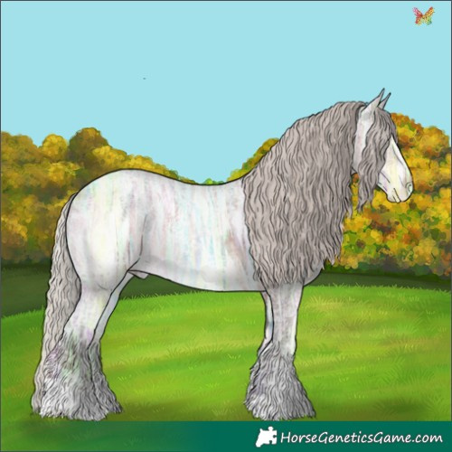 Horse Color:Silver Brown Ice Roan Sabino 