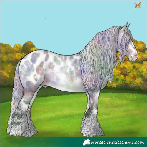Horse Color:Nacre Silver Buckskin Chinchilla Roan Sabino Appaloosa