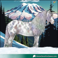 Horse Color:Nacre Silver Buckskin Chinchilla Roan Sabino Appaloosa 