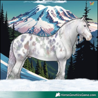 Horse Color:Nacre Silver Buckskin Chinchilla Roan Sabino Appaloosa 