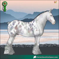 Horse Color:Nacre Silver Buckskin Chinchilla Roan Sabino Blanket