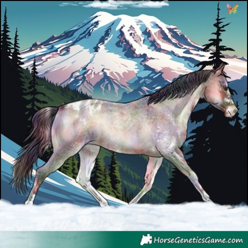 Horse Color:Nacre White Spotted Liver Red Onyx Roan Appaloosa 