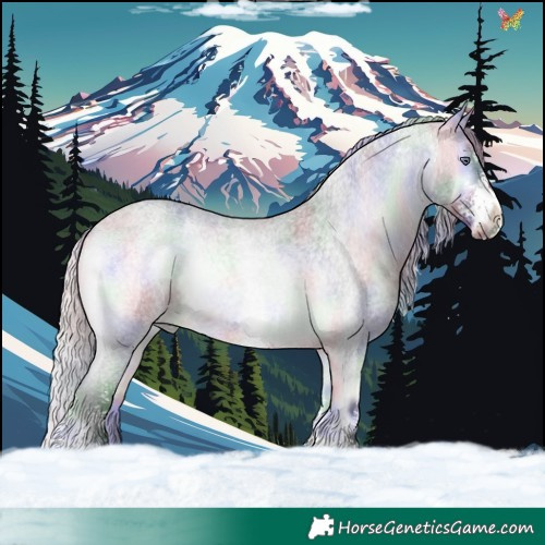 Horse Color:Nacre White Spotted Silver Bay Chinchilla Roan Onyx Rabicano 