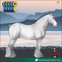 Horse Color:Nacre White Spotted Silver Bay Chinchilla Roan Onyx Rabicano
