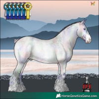 Horse Color:Nacre White Spotted Silver Bay Chinchilla Roan Onyx Rabicano
