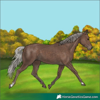 Horse Color:Silver Black 