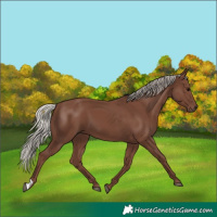 Horse Color:Silver Black 