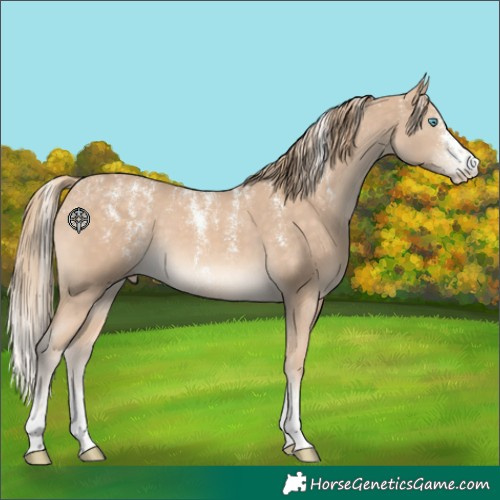 Horse Color:Powder White Perlino Rabicano 