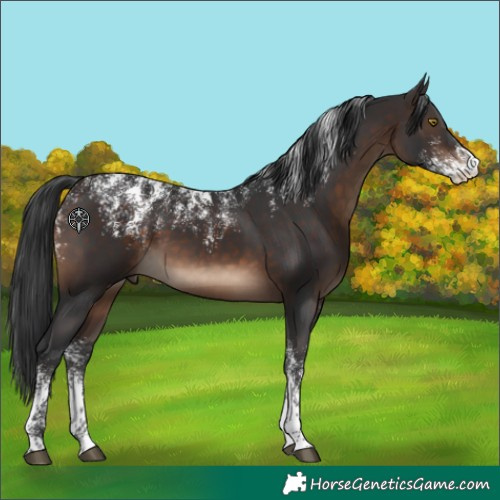Horse Color:Powder White Brown 