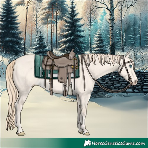 Horse Color:Perlino Dun 