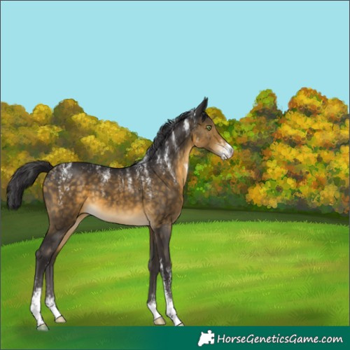 Horse Color:Powder White Buckskin Sabino 