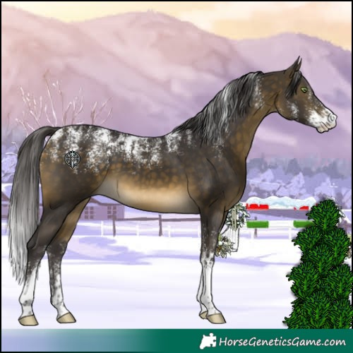 Horse Color:Powder White Buckskin 