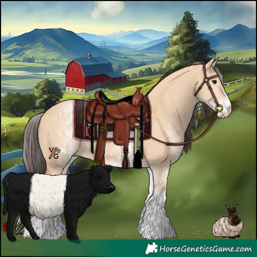Horse Color:White Spotted Bay Dun Rabicano  and White Spotted Bay Dun Rabicano 