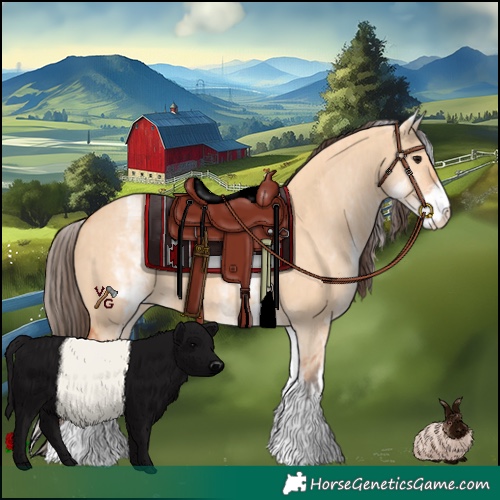 Horse Color:White Spotted Bay Dun Rabicano and White Spotted Bay Dun Rabicano