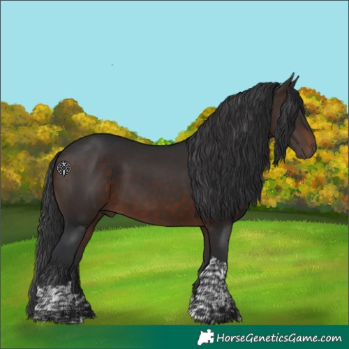 Horse Color:Brown Tobiano 