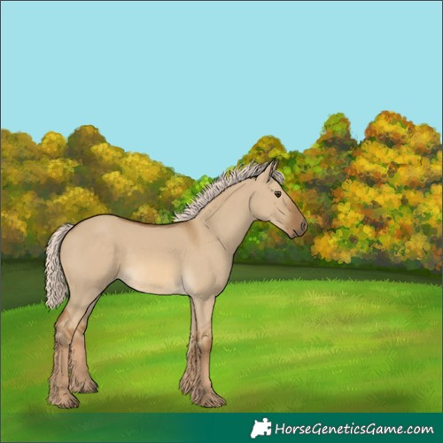 Horse Color:Chocolate Palomino Dun 