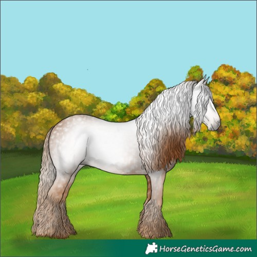 Horse Color:Gray Chestnut 