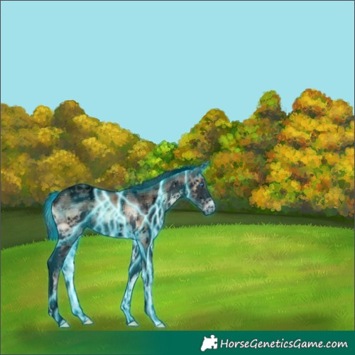 Horse Color:Void Thunderstruck Plaid  Liver Red Onyx Splash Tobiano 