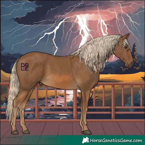 Horse Color:Chocolate Palomino 