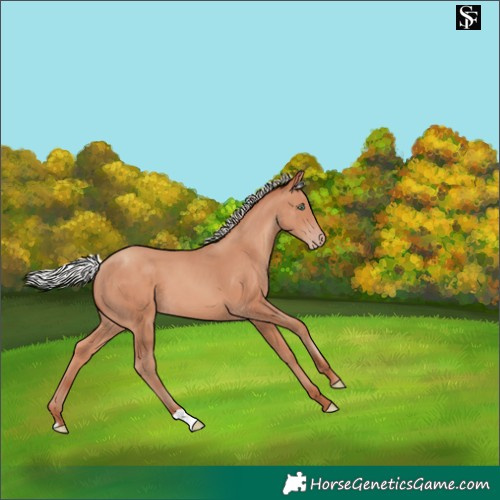 Horse Color:Silver Sable Champagne 