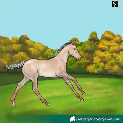 Horse Color:Silver Sable Champagne Dun