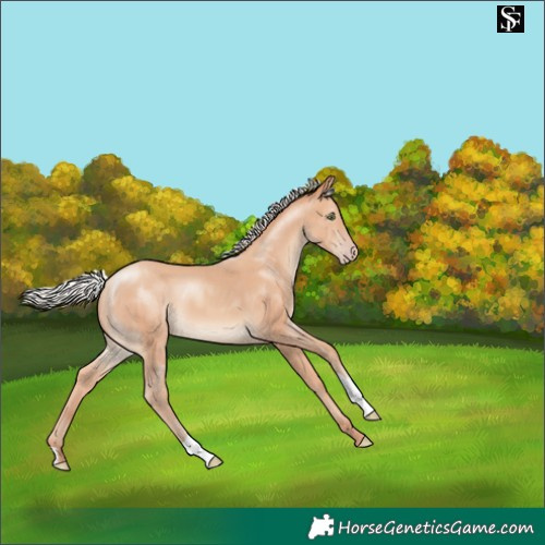 Horse Color:Silver Sable Champagne 