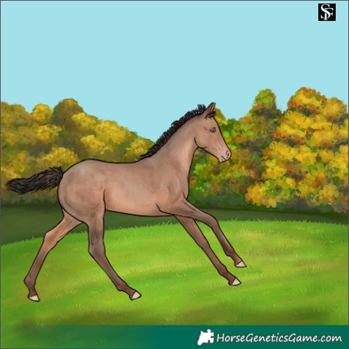 Horse Color:Sable Champagne 