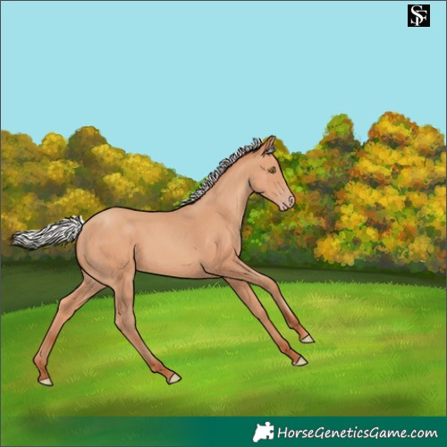Horse Color:Silver Sable Champagne 