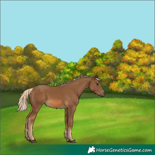 Horse Color:Chocolate Palomino