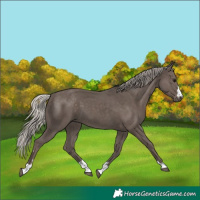 Horse Color:Silver Black 