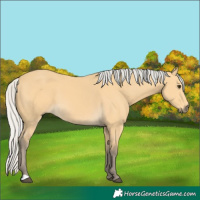 Horse Color:Silver Buckskin 